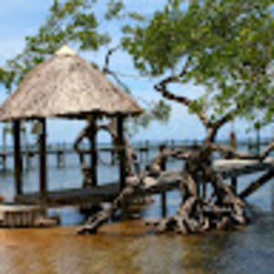 Meet your Posher, Joe